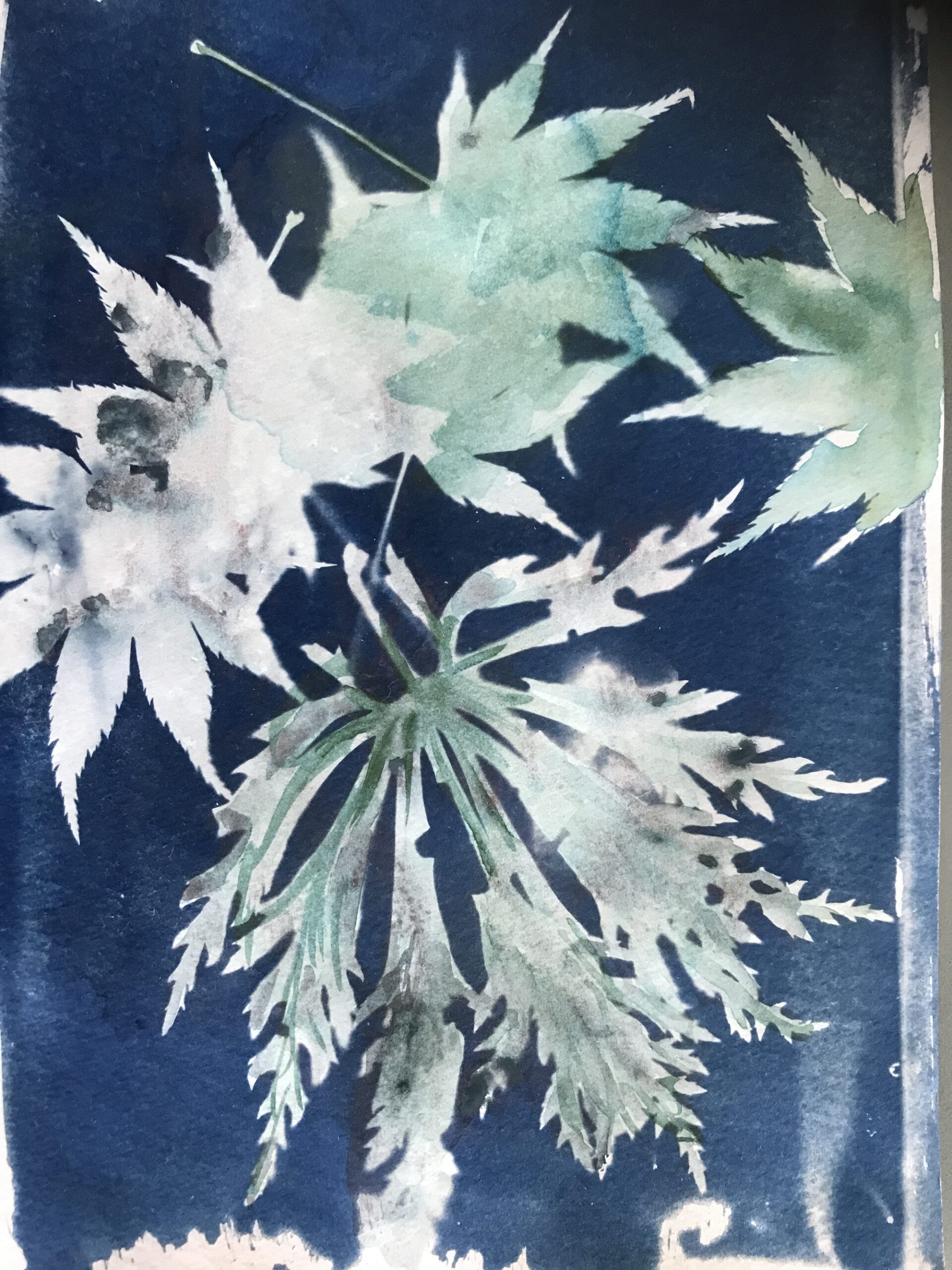 Art and Garden